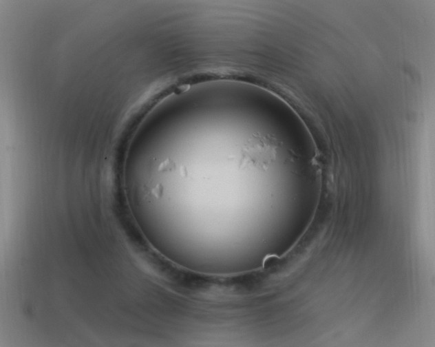 X0000114390256200910161300