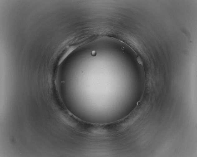 X0000114390258200910161300