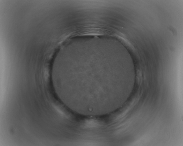 X0000114390259200910161300