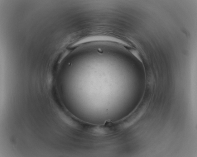 X0000114390261200910161300