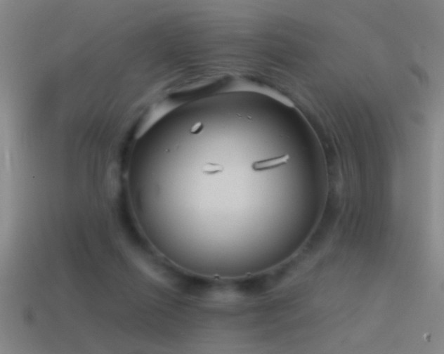 X0000114390262200910161300