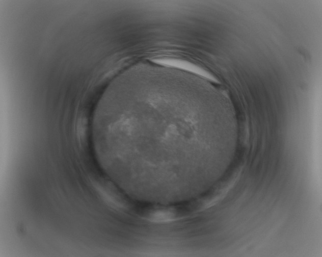 X0000114390263200910161300