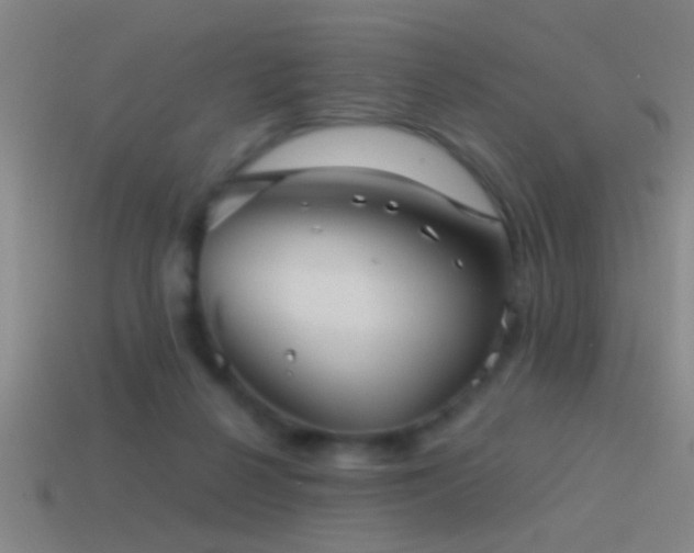 X0000114390264200910161300