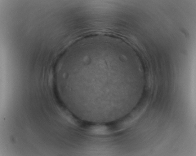 X0000114390266200910161300