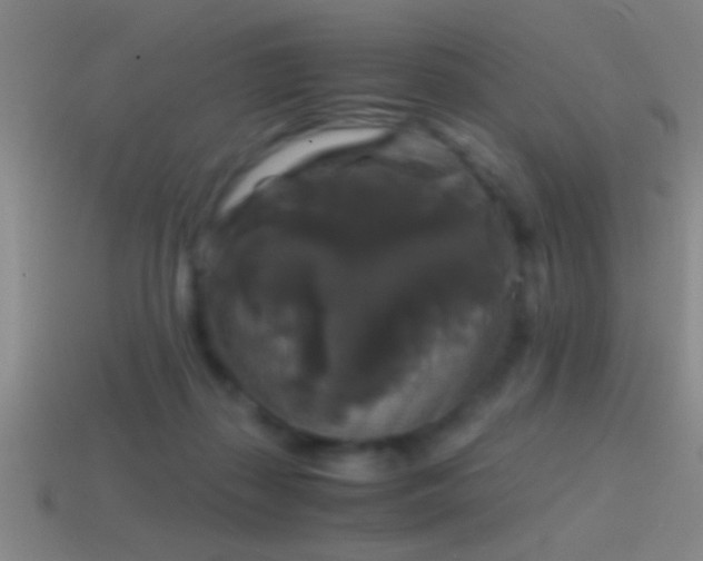 X0000114390267200910161300