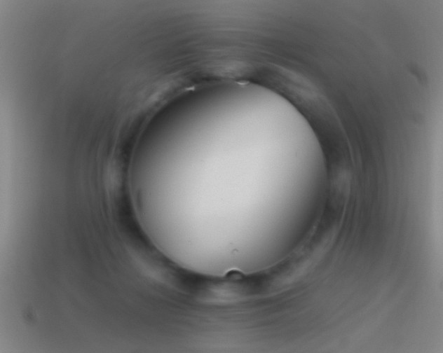 X0000114390268200910161300
