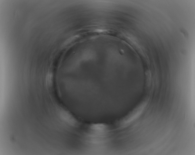 X0000114390269200910161300