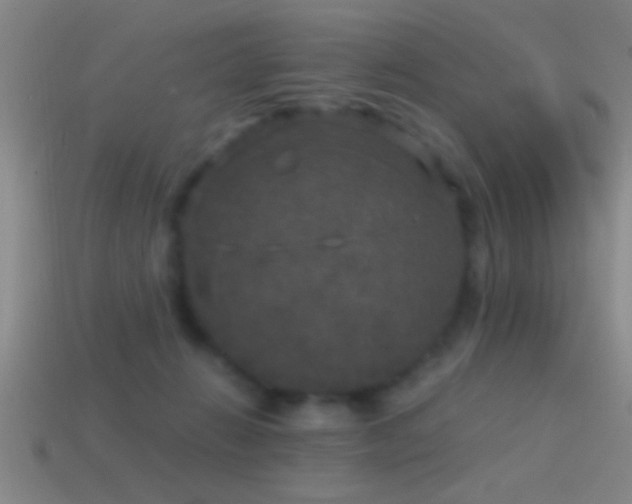 X0000114390270200910161300