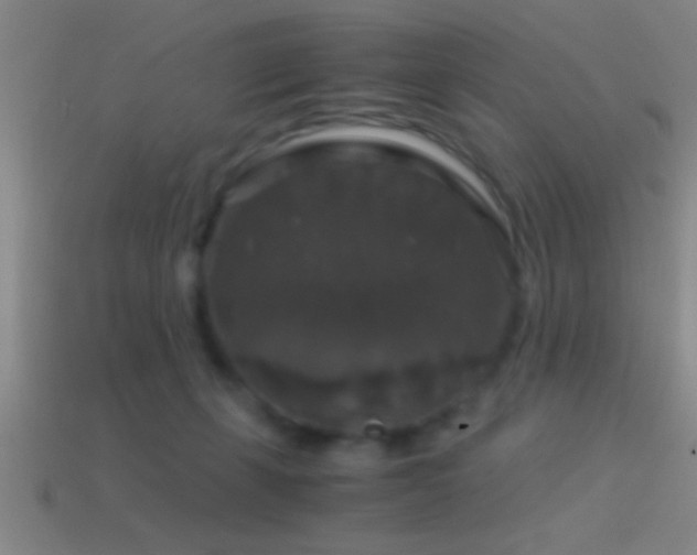 X0000114390271200910161300