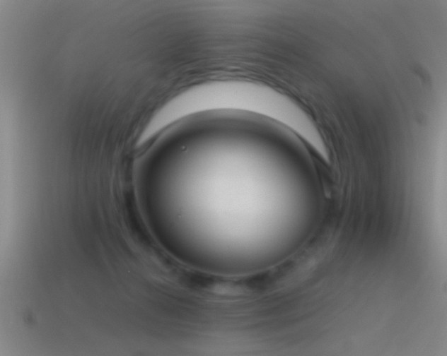 X0000114390272200910161300