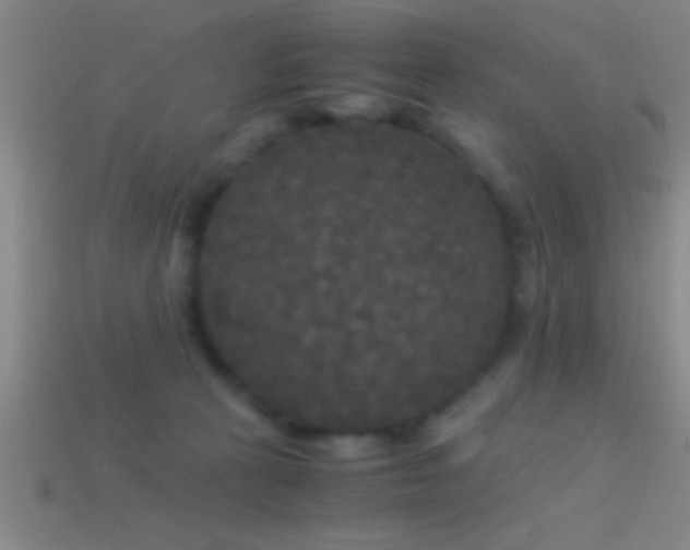 X0000114390273200910161300