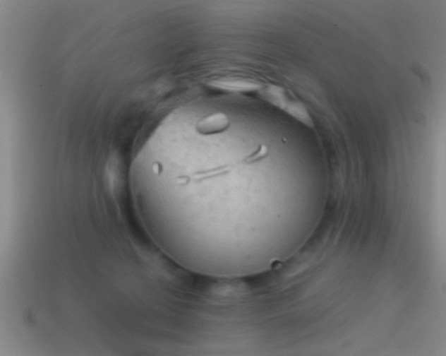 X0000114390274200910161300