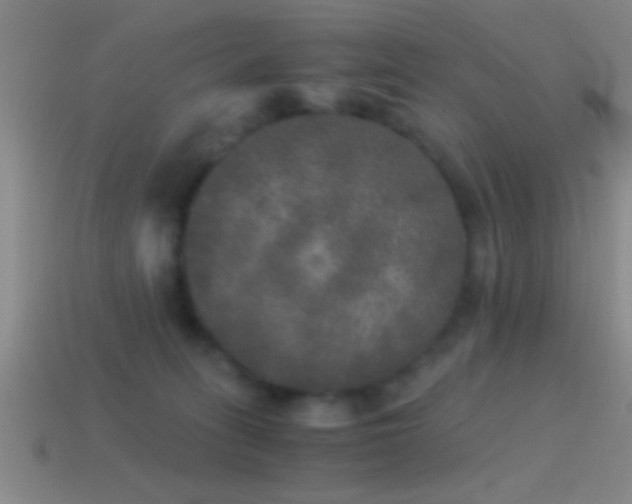 X0000114390275200910161300