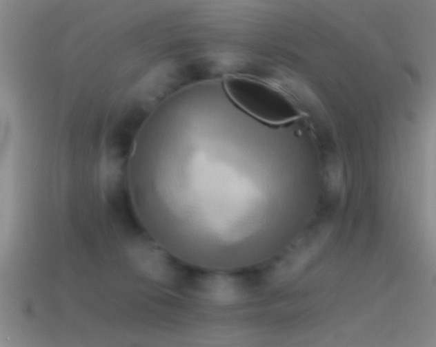 X0000114390276200910161300