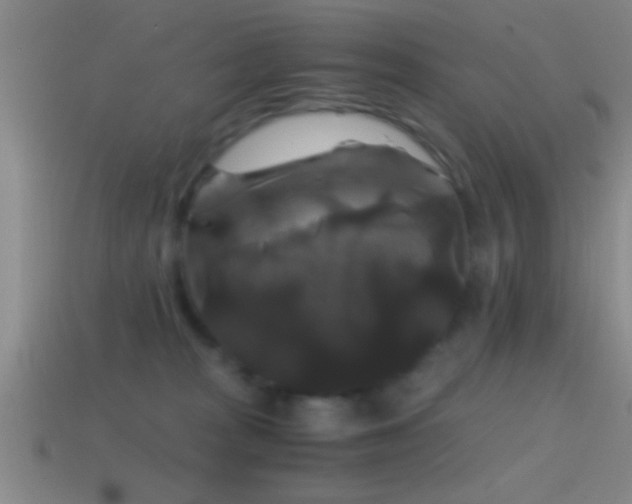 X0000114390277200910161300