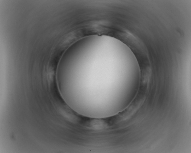 X0000114390279200910161300
