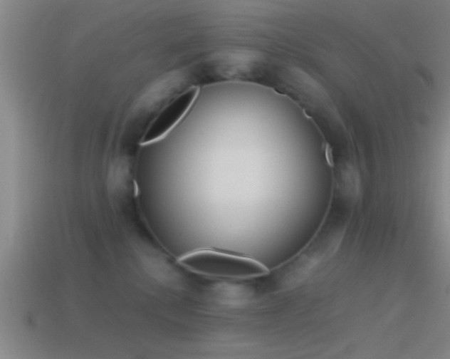 X0000114390280200910161300