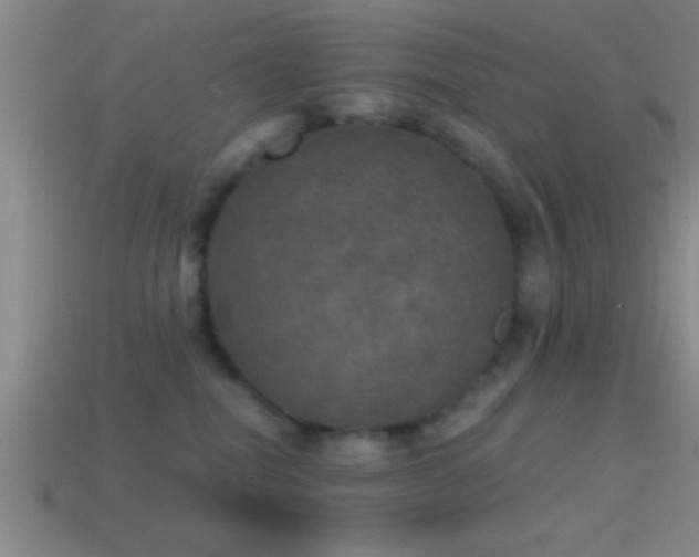 X0000114390282200910161300