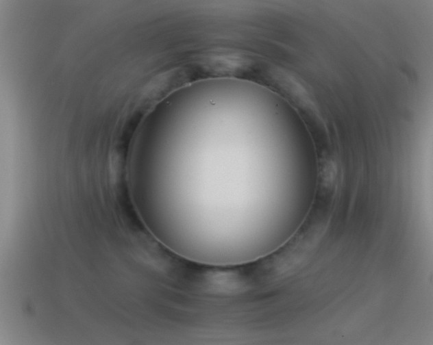 X0000114390283200910161300