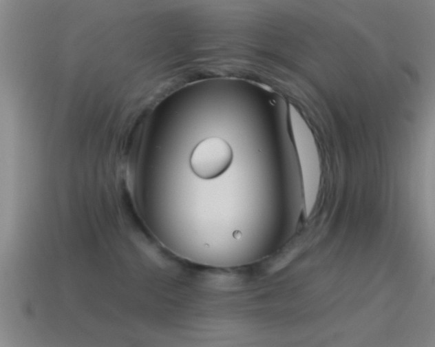 X0000114390284200910161300