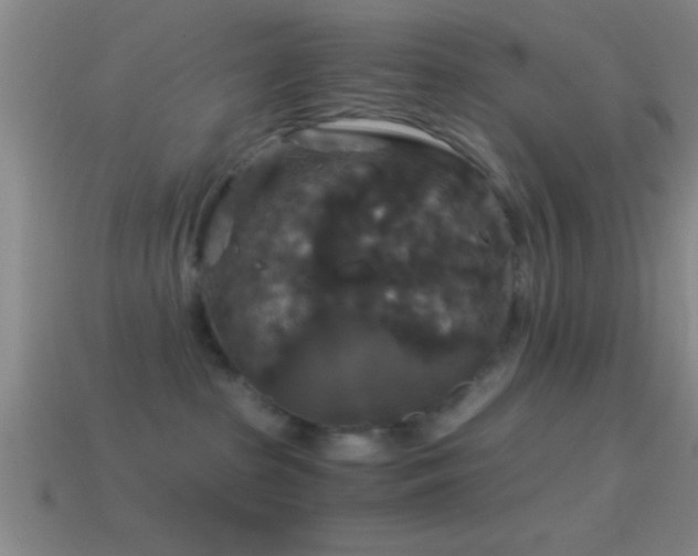 X0000114390285200910161300