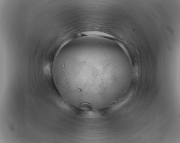 X0000114390286200910161300