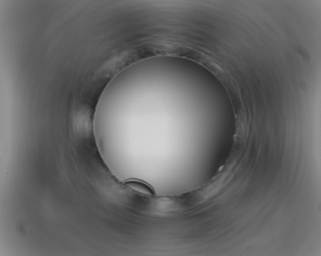X0000114390287200910161300