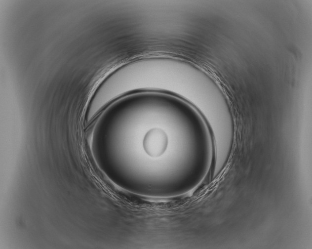 X0000114390289200910161300