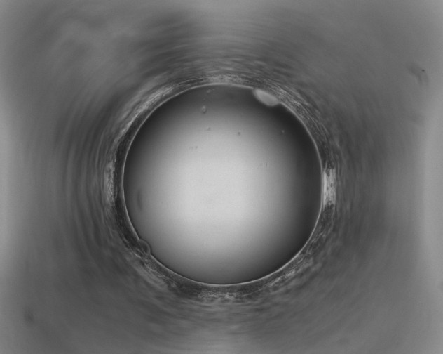 X0000114390291200910161300