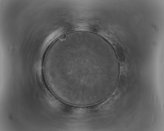 X0000114390293200910161300