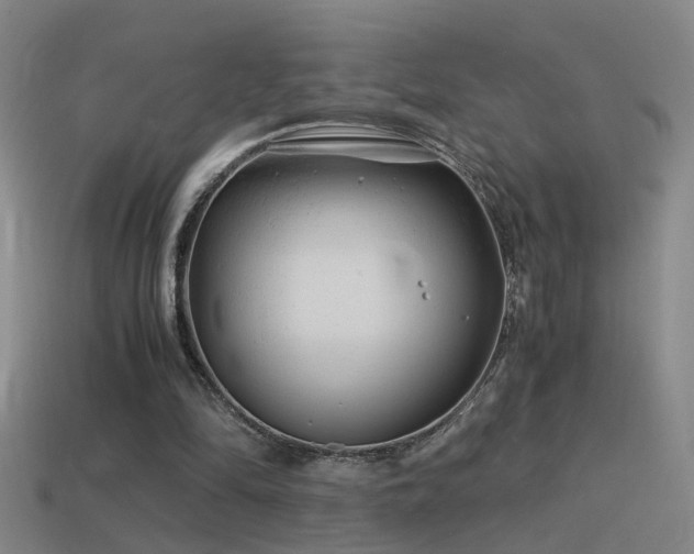 X0000114390294200910161300