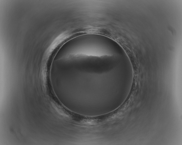 X0000114390295200910161300