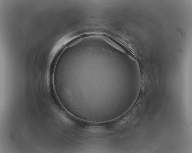 X0000114390296200910161300
