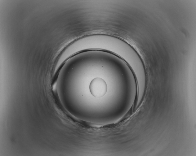 X0000114390297200910161300
