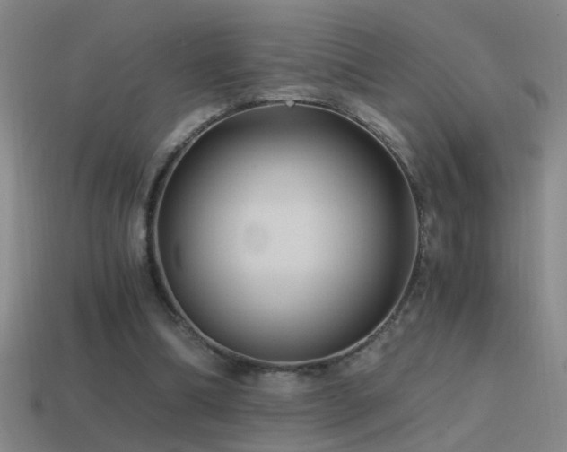 X0000114390298200910161300