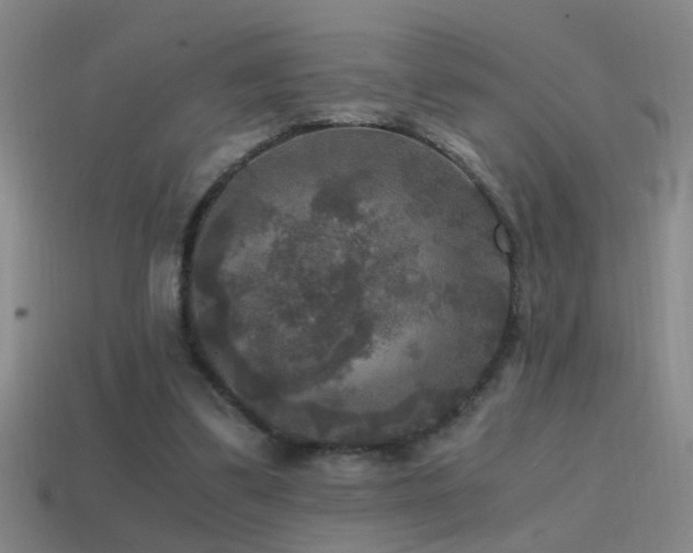 X0000114390299200910161300