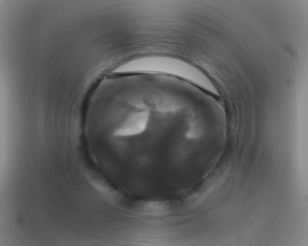 X0000114390303200910161259