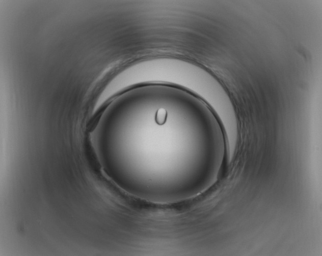 X0000114390304200910161259