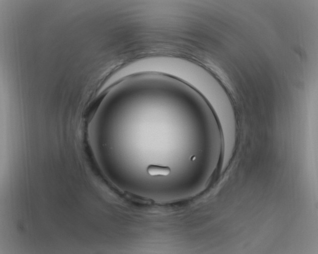 X0000114390305200910161259