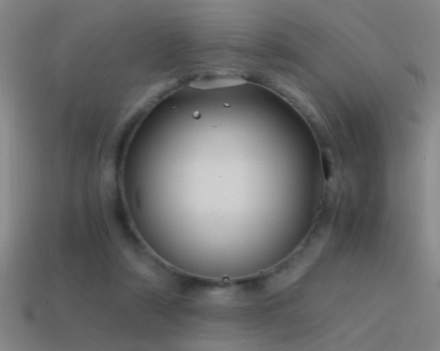 X0000114390306200910161259