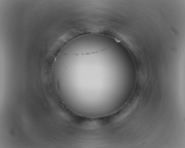 X0000114390307200910161259
