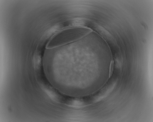 X0000114390308200910161259