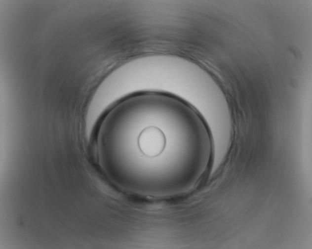 X0000114390309200910161259