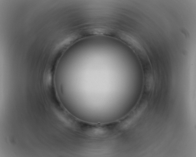 X0000114390310200910161259