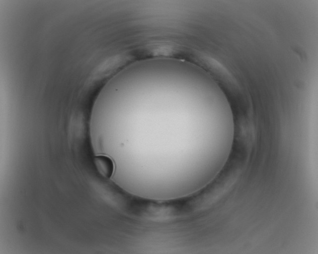 X0000114390311200910161259