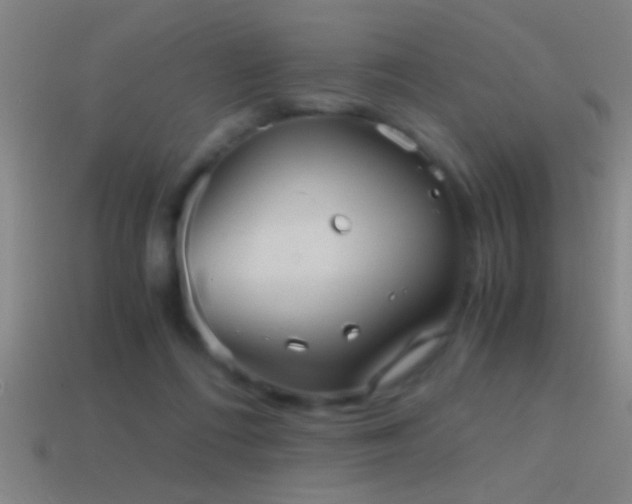 X0000114390312200910161259