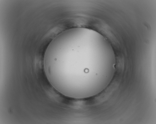 X0000114390313200910161259