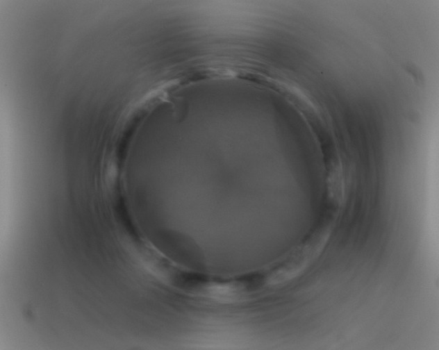 X0000114390314200910161259