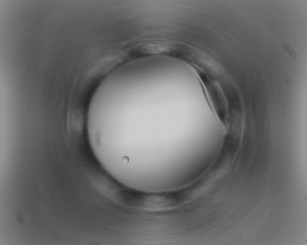 X0000114390315200910161259