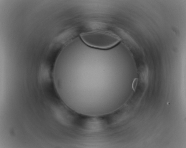 X0000114390316200910161259